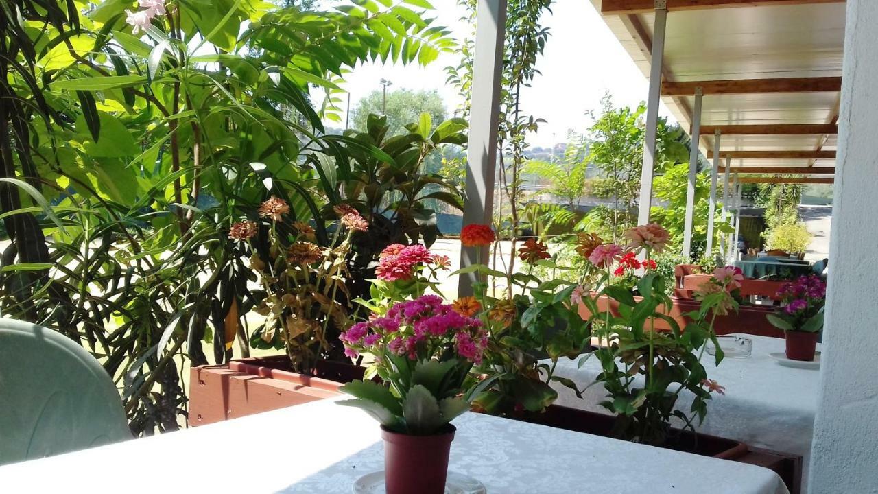 A Casa Di Nene Bed & Breakfast ปาลีนูโร ภายนอก รูปภาพ