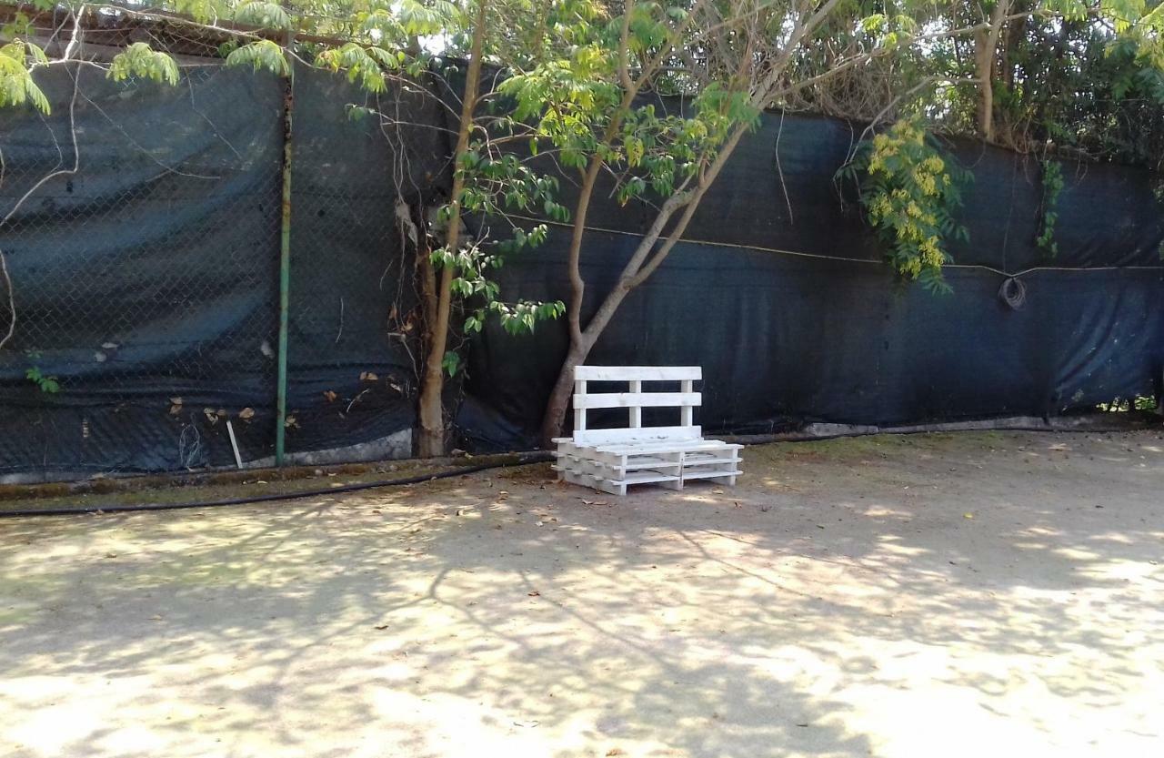 A Casa Di Nene Bed & Breakfast ปาลีนูโร ภายนอก รูปภาพ